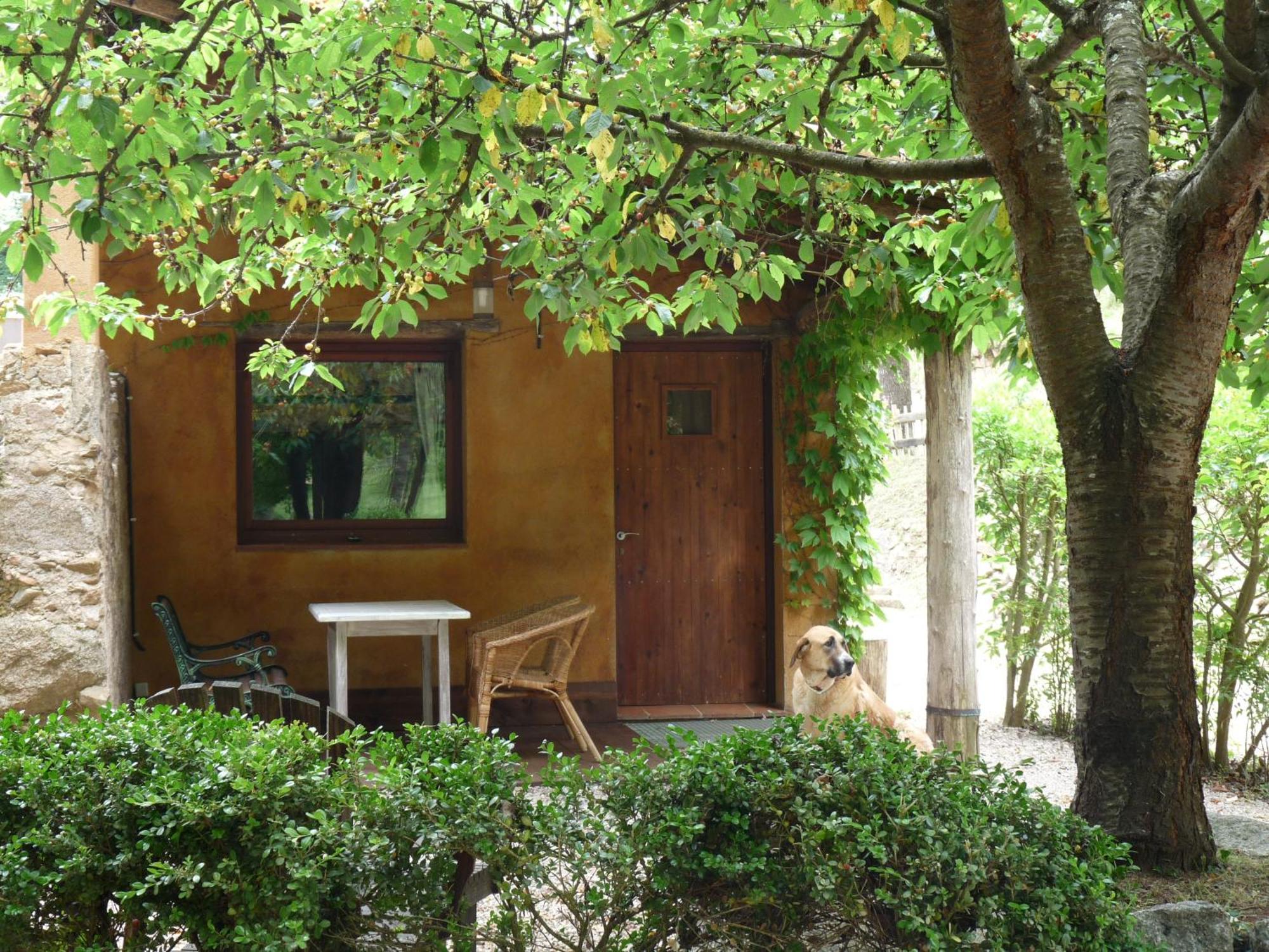 Masia El Moli De Can Aulet Arbúcies Extérieur photo
